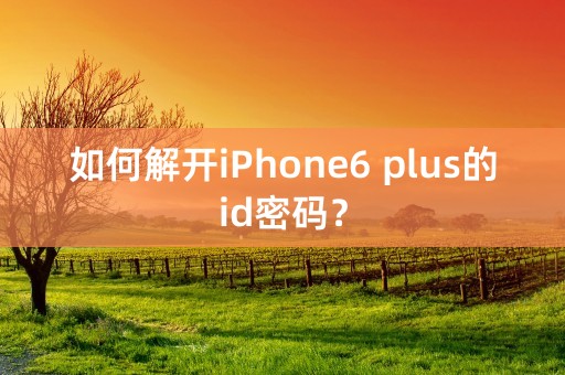 如何解开iPhone6 plus的id密码？