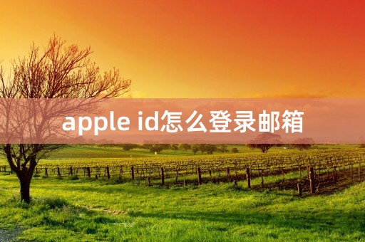 apple id怎么登录邮箱