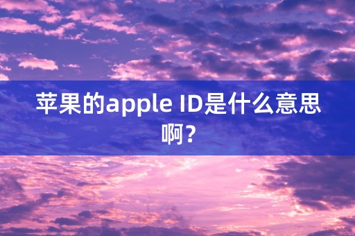 苹果的apple ID是什么意思啊？