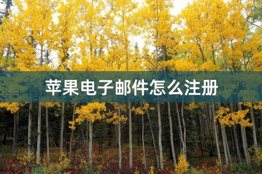 苹果电子邮件怎么注册