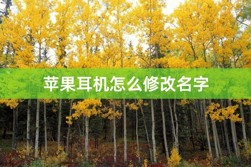 苹果耳机怎么修改名字