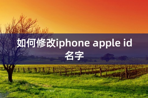 如何修改iphone apple id名字