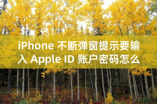 iPhone 不断弹窗提示要输入 Apple ID 账户密码怎么办？