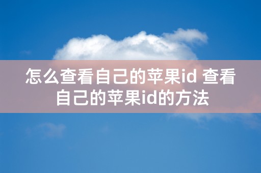 怎么查看自己的苹果id 查看自己的苹果id的方法