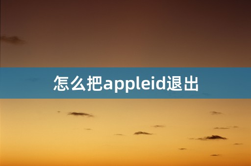 怎么把appleid退出