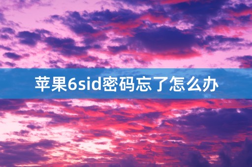 苹果6sid密码忘了怎么办