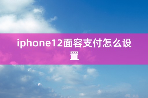 iphone12面容支付怎么设置