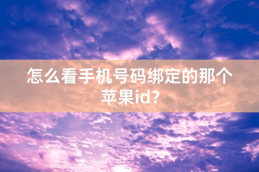 怎么看手机号码绑定的那个苹果id？