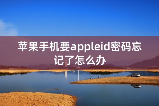 苹果手机要appleid密码忘记了怎么办