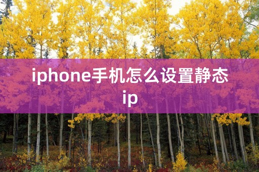 iphone手机怎么设置静态ip