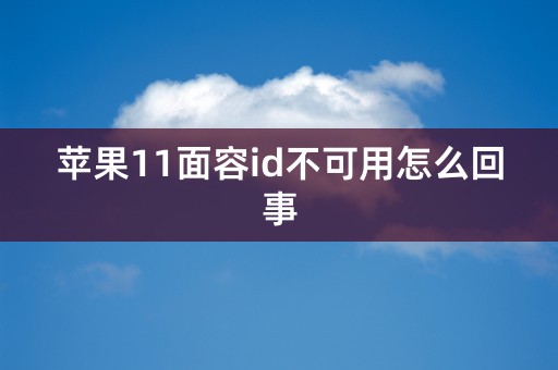 苹果11面容id不可用怎么回事