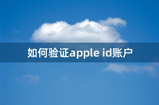 如何验证apple id账户