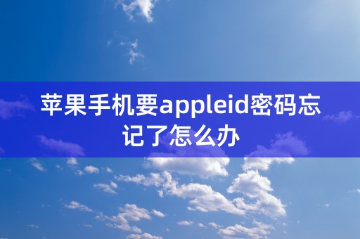 苹果手机要appleid密码忘记了怎么办