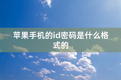 苹果手机的id密码是什么格式的