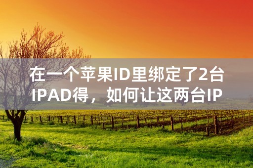 在一个苹果ID里绑定了2台IPAD得，如何让这两台IPAD进行facetime通话？