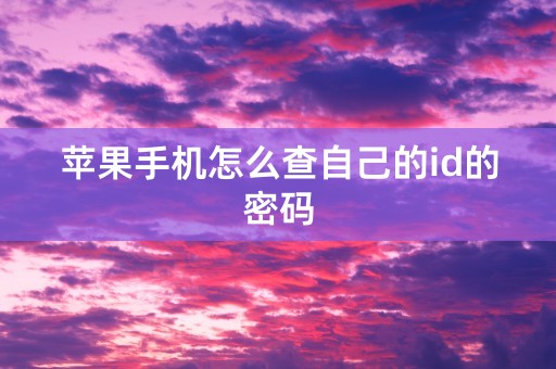 苹果手机怎么查自己的id的密码