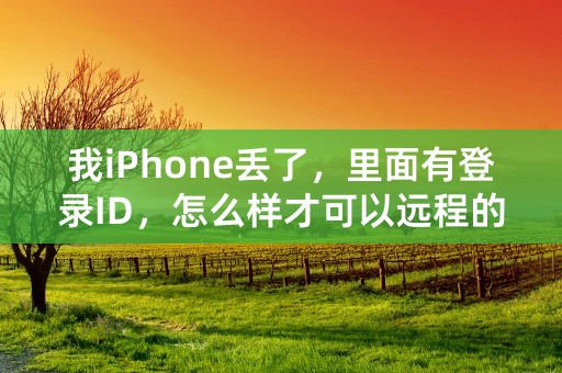 我iPhone丢了，里面有登录ID，怎么样才可以远程的抹除手机的所有内容