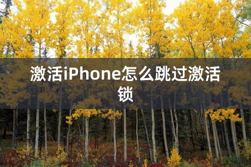 激活iPhone怎么跳过激活锁