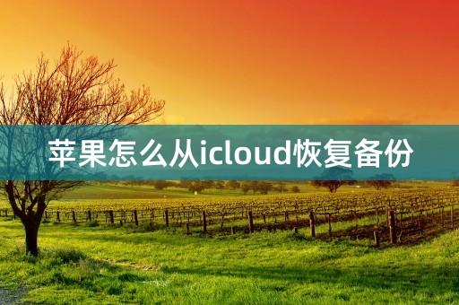 苹果怎么从icloud恢复备份