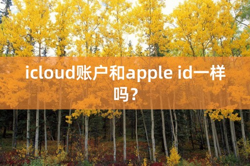 icloud账户和apple id一样吗？