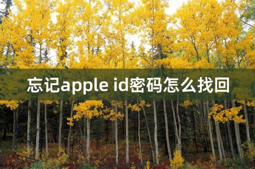 忘记apple id密码怎么找回