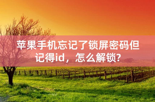 苹果手机忘记了锁屏密码但记得id，怎么解锁?