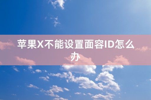 苹果X不能设置面容ID怎么办