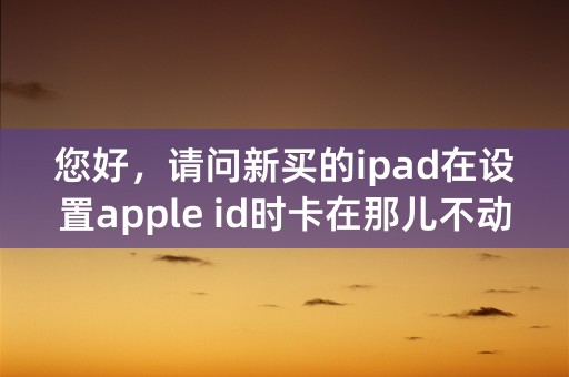 您好，请问新买的ipad在设置apple id时卡在那儿不动了怎么办呢