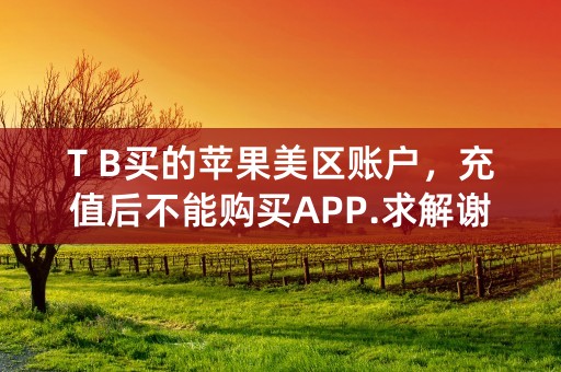 T B买的苹果美区账户，充值后不能购买APP.求解谢谢