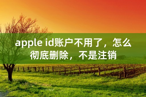 apple id账户不用了，怎么彻底删除，不是注销