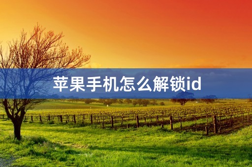 苹果手机怎么解锁id