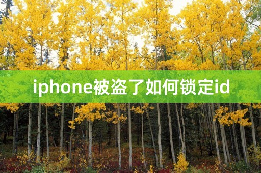 iphone被盗了如何锁定id