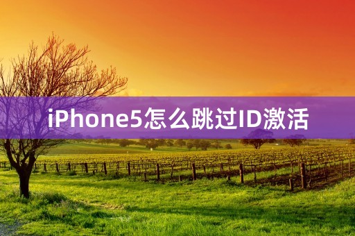 iPhone5怎么跳过ID激活