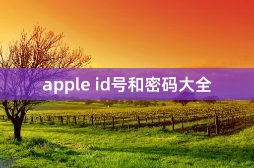 apple id号和密码大全