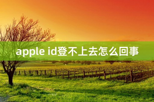 apple id登不上去怎么回事