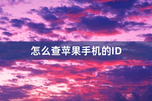 怎么查苹果手机的ID