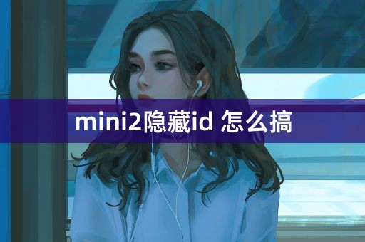 mini2隐藏id 怎么搞