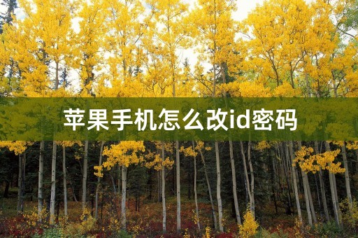 苹果手机怎么改id密码