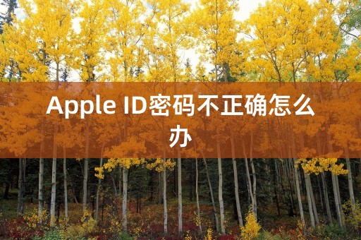 Apple ID密码不正确怎么办