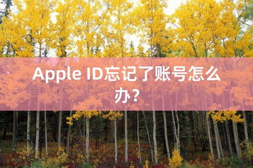 Apple ID忘记了账号怎么办？