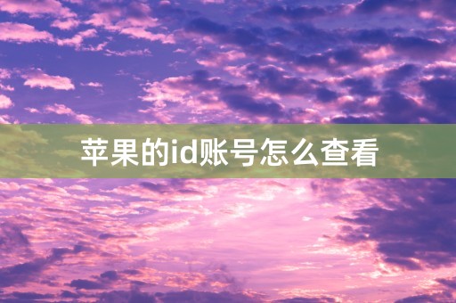 苹果的id账号怎么查看