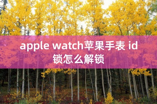 apple watch苹果手表 id锁怎么解锁