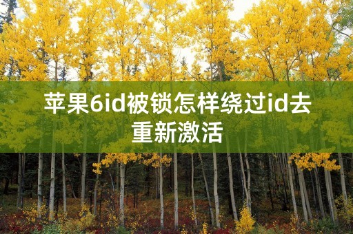 苹果6id被锁怎样绕过id去重新激活