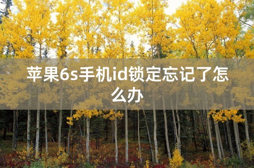 苹果6s手机id锁定忘记了怎么办