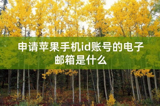 申请苹果手机id账号的电子邮箱是什么