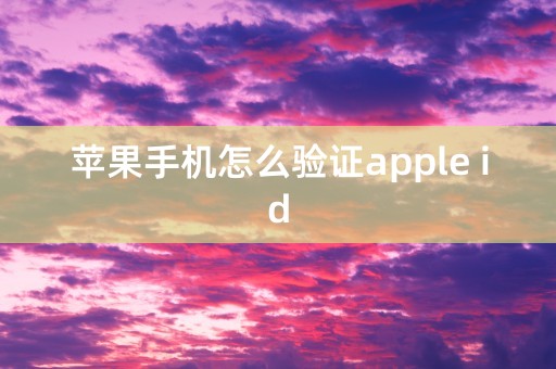 苹果手机怎么验证apple id