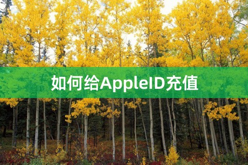 如何给AppleID充值