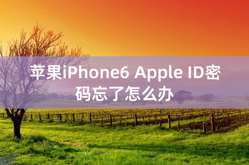 苹果iPhone6 Apple ID密码忘了怎么办