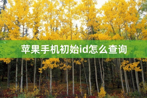 苹果手机初始id怎么查询