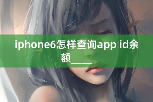 iphone6怎样查询app id余额____